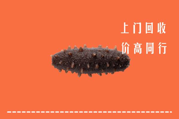 收购行情：富宁县回收海参