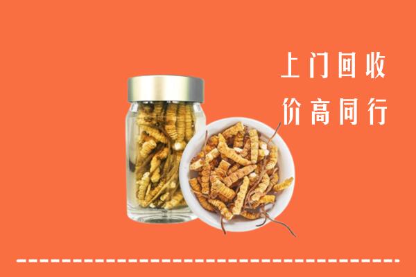 收购行情：富宁县回收冬虫夏草
