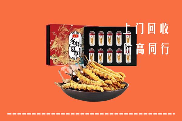 富宁县回收虫草